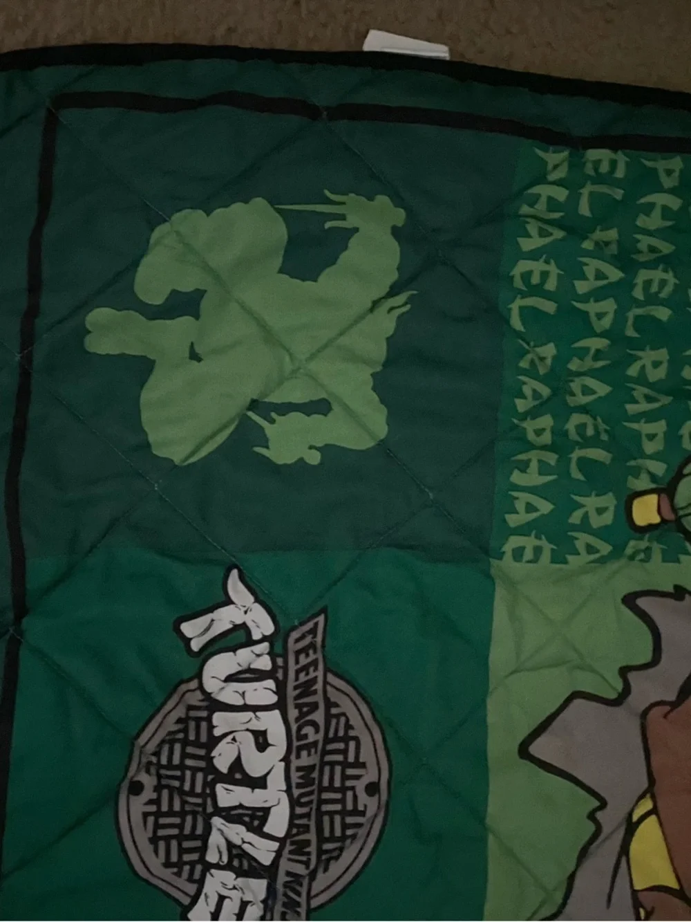 Teen Age Ninja Turtles 2015 nickelodeon